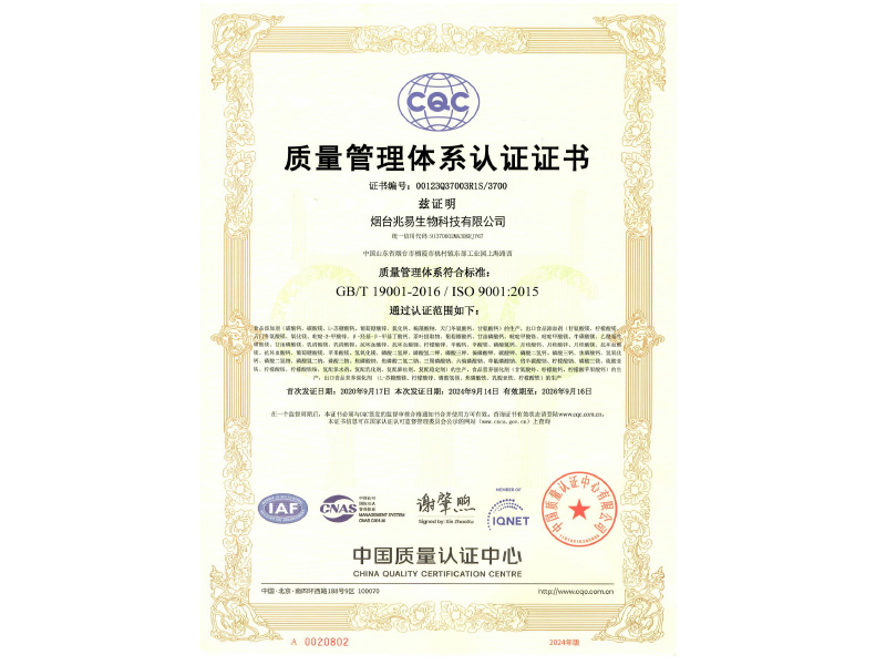 ISO9001